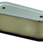 Filter 36356 pre Tecumseh