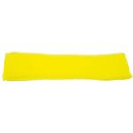 Predfilter 17218891505 pre Honda GV 340, GV 400